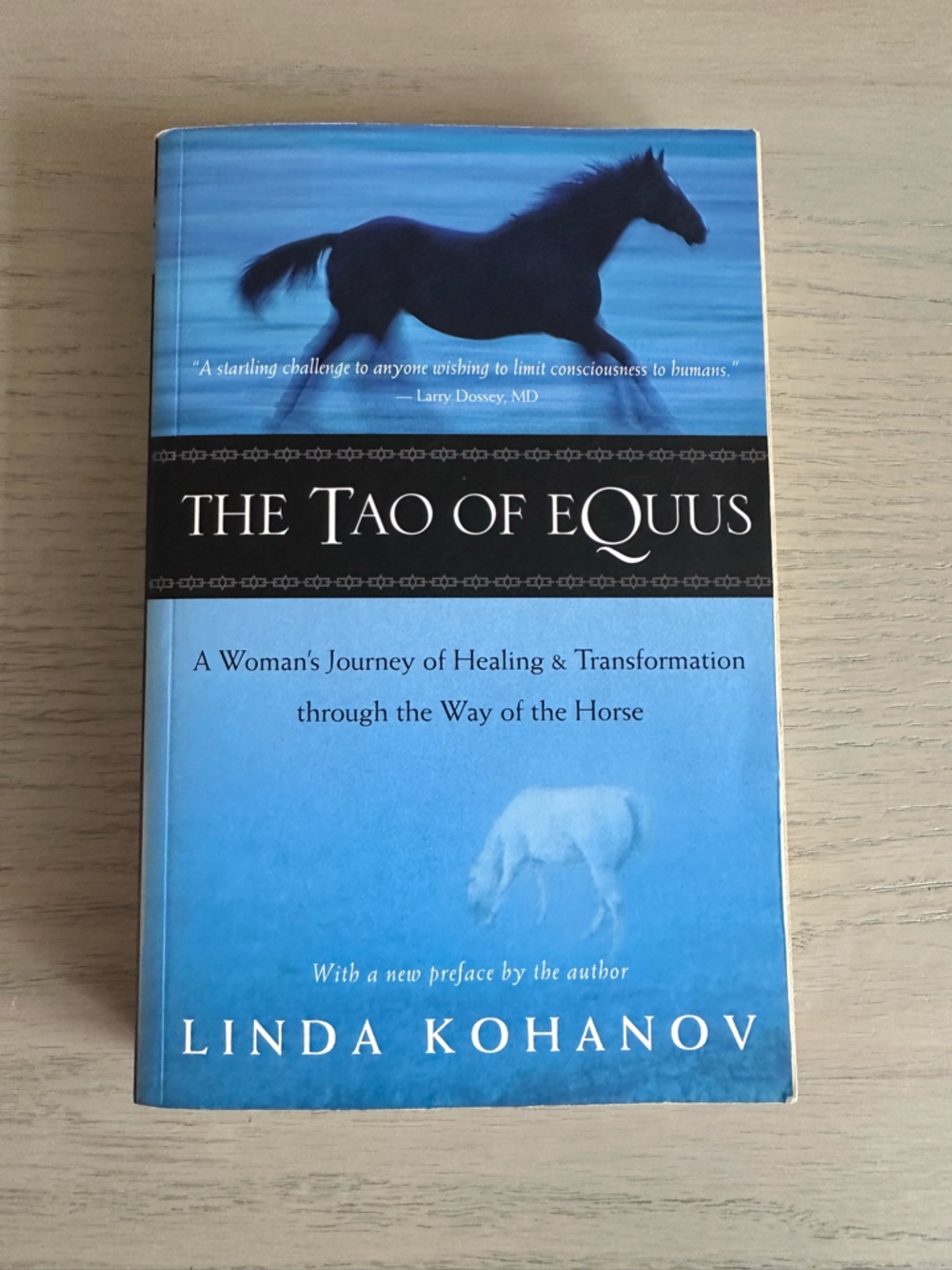 The Tao of Equus - Blue Hardcover Book